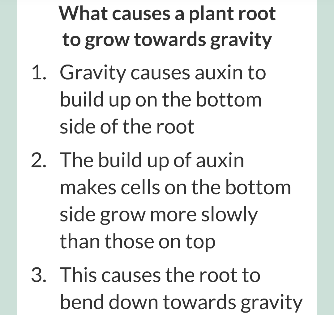 14 - Plant Hormones/014.png