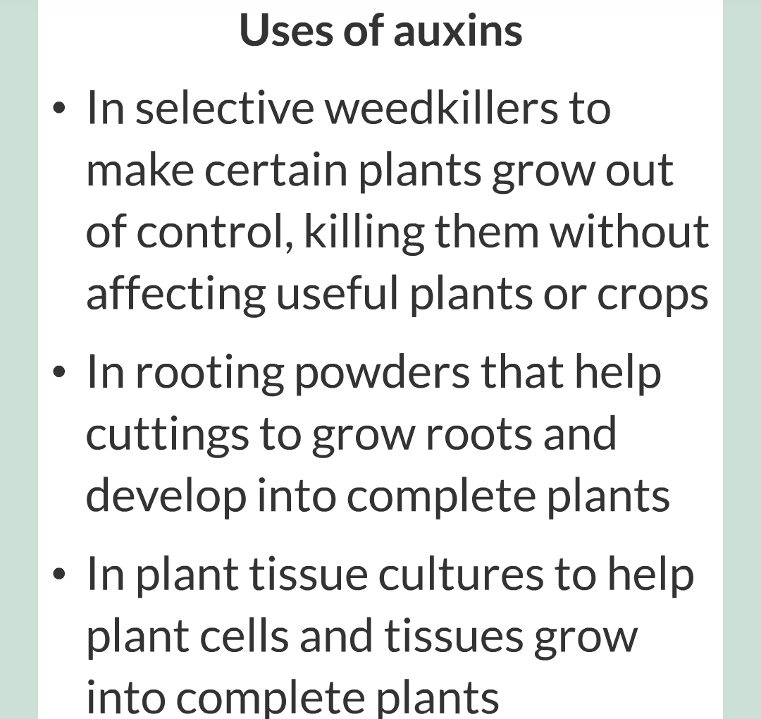 14 - Plant Hormones/016.png