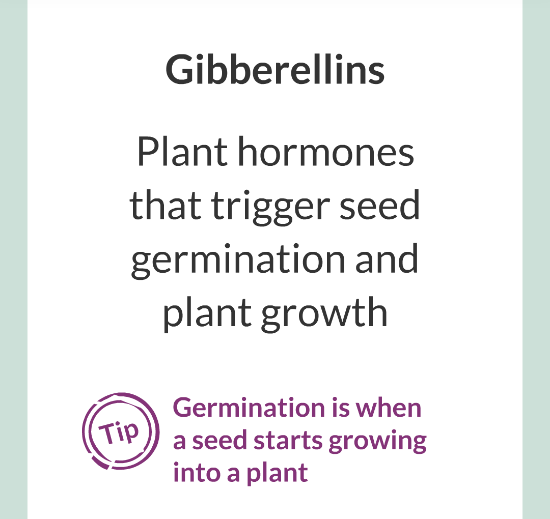 14 - Plant Hormones/018.png