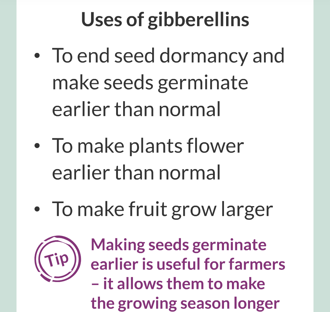 14 - Plant Hormones/020.png