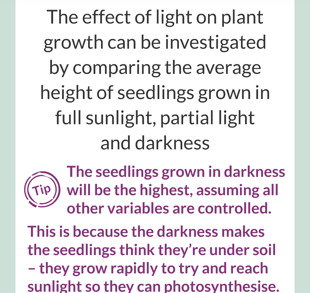 14 - Plant Hormones/026.png