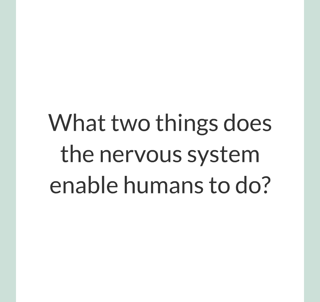 2 - The Nervous System/001.png