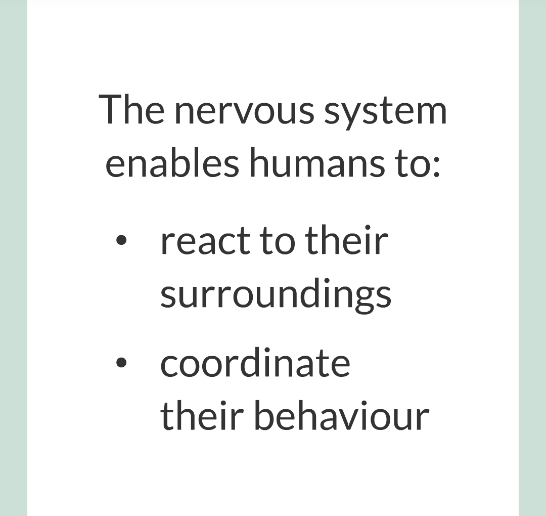 2 - The Nervous System/002.png
