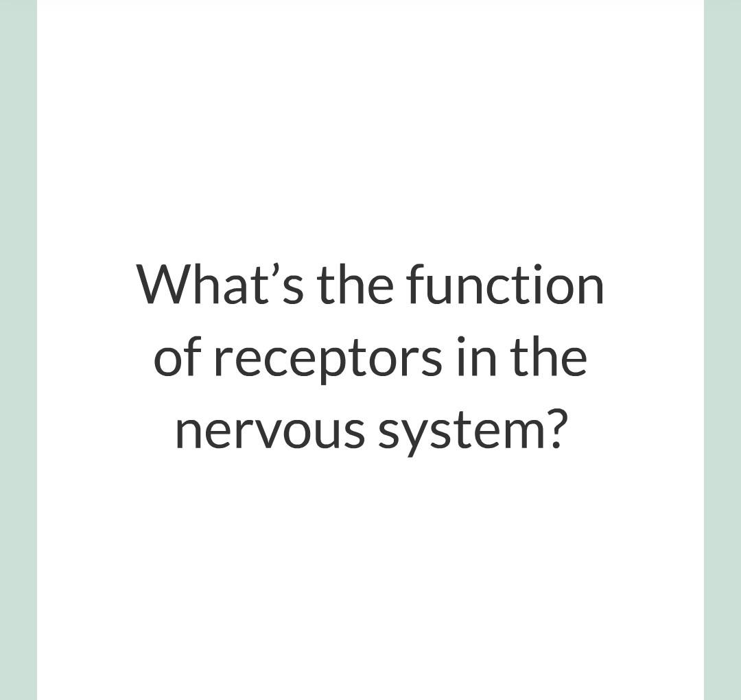 2 - The Nervous System/003.png