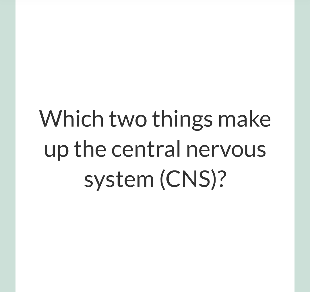 2 - The Nervous System/005.png