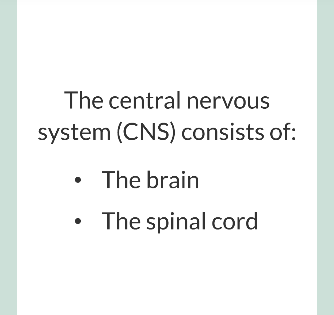 2 - The Nervous System/006.png