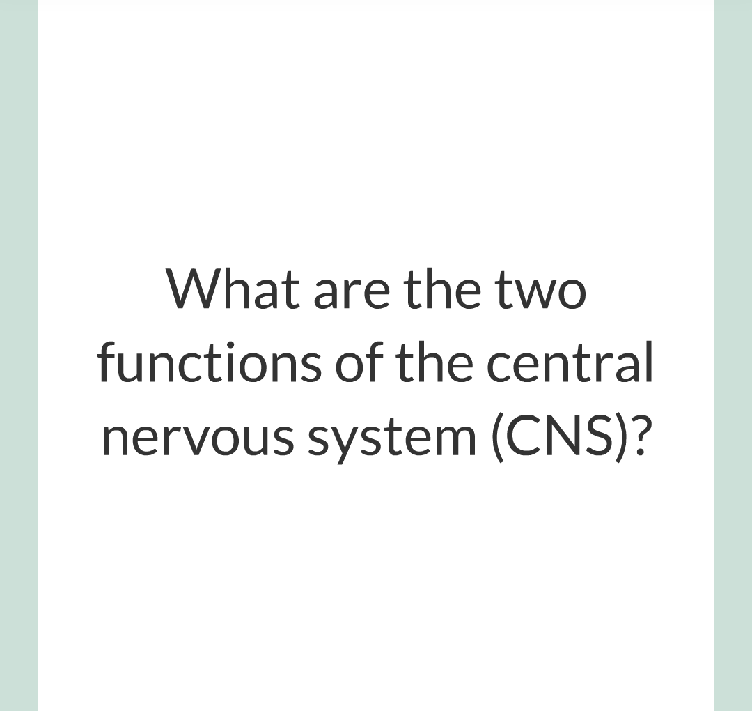 2 - The Nervous System/007.png