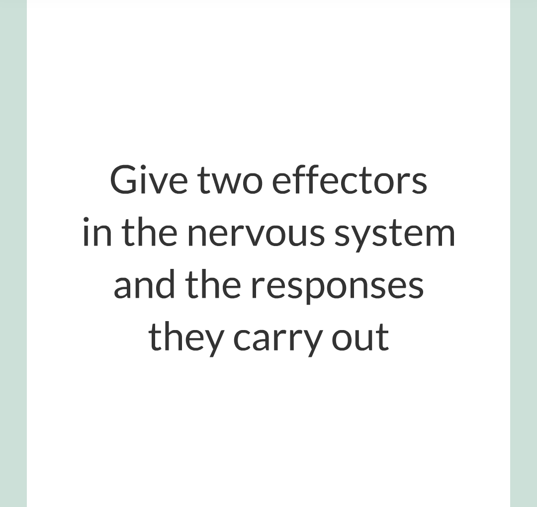 2 - The Nervous System/009.png