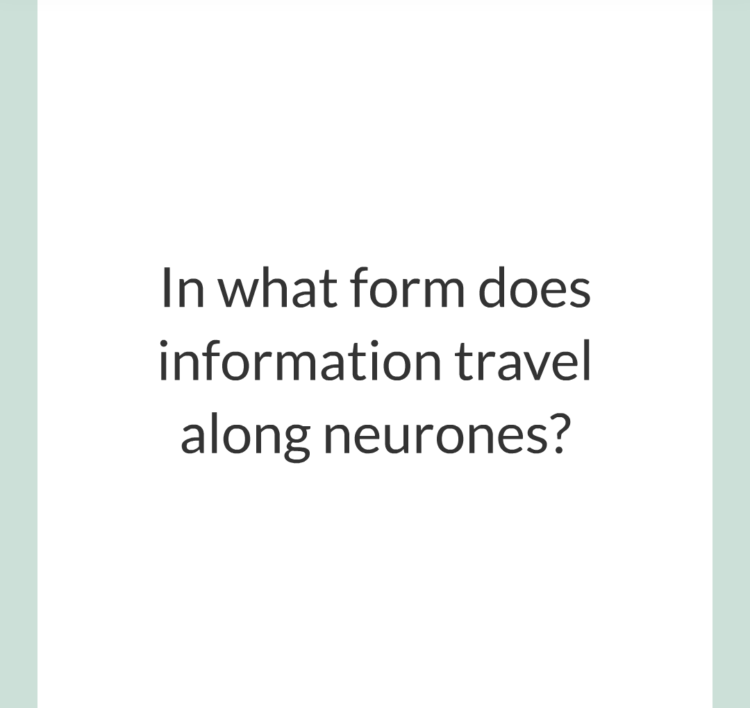 2 - The Nervous System/011.png