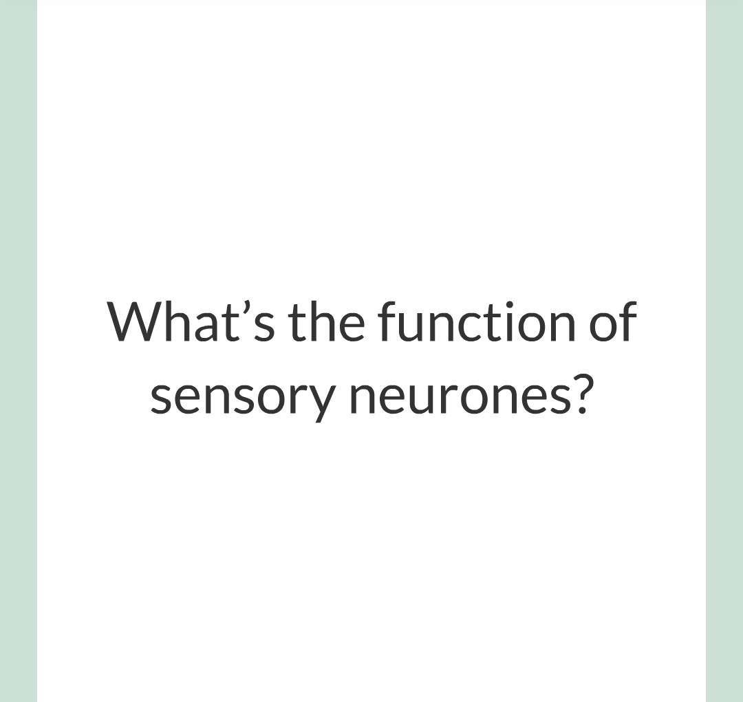 2 - The Nervous System/013.png