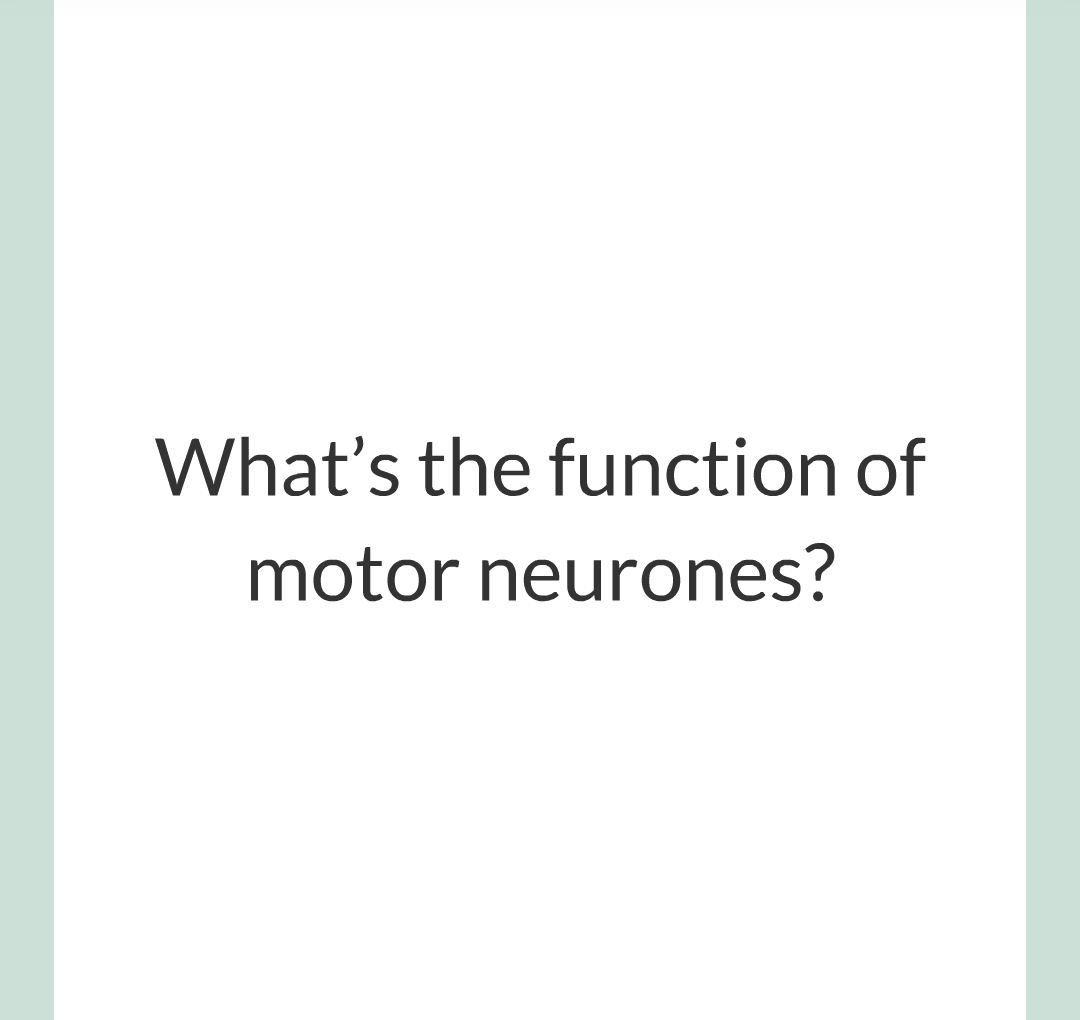 2 - The Nervous System/015.png