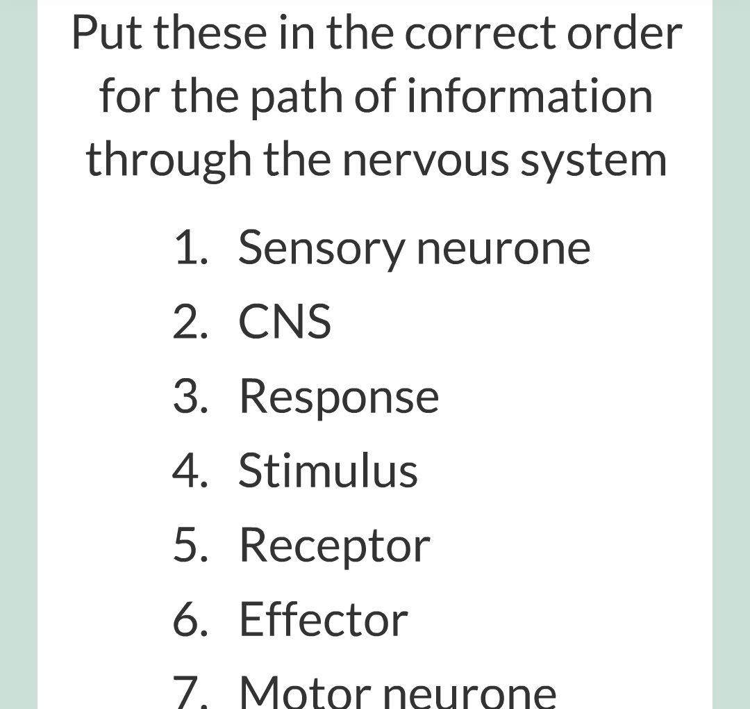 2 - The Nervous System/017.png