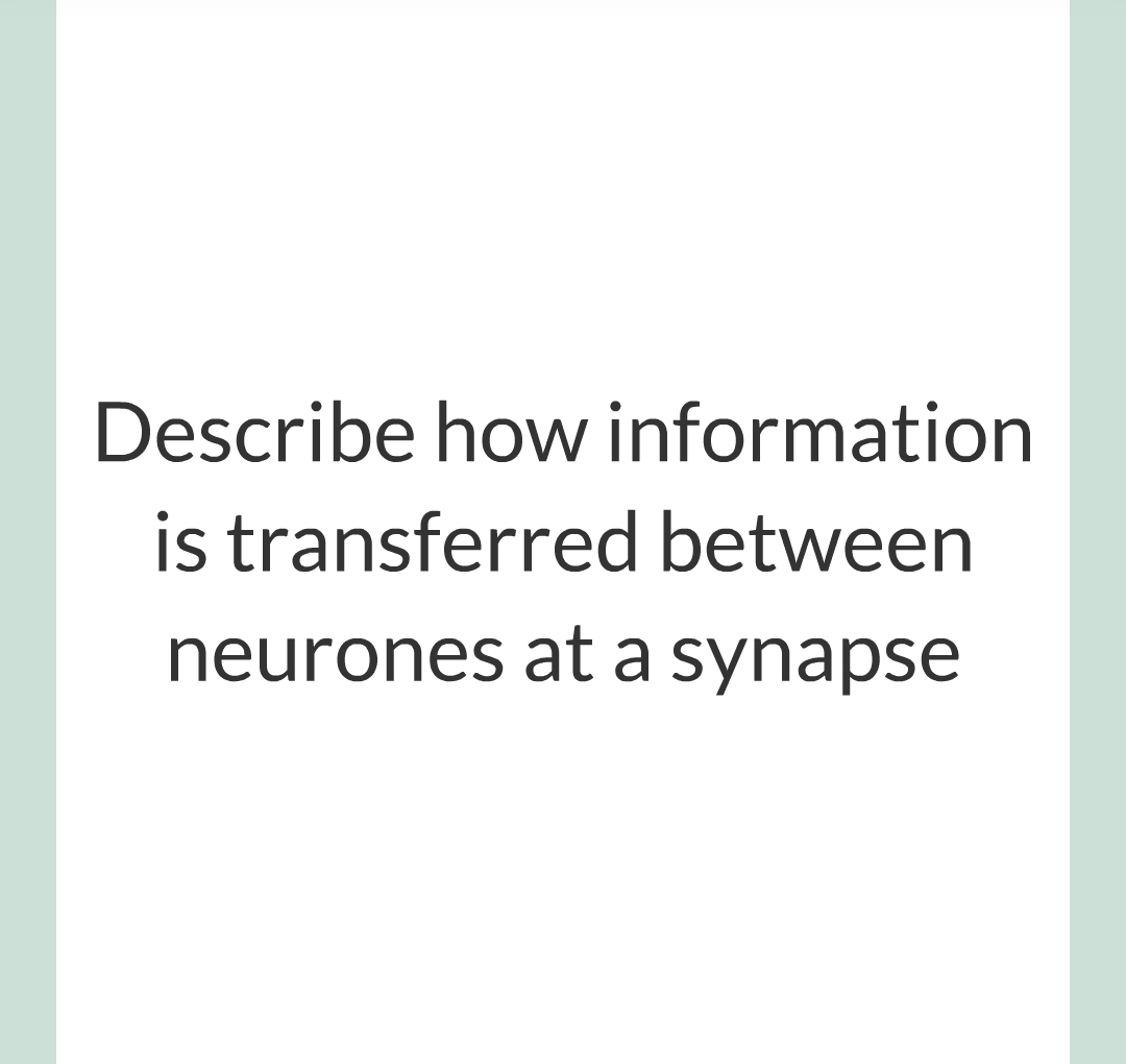 2 - The Nervous System/023.png