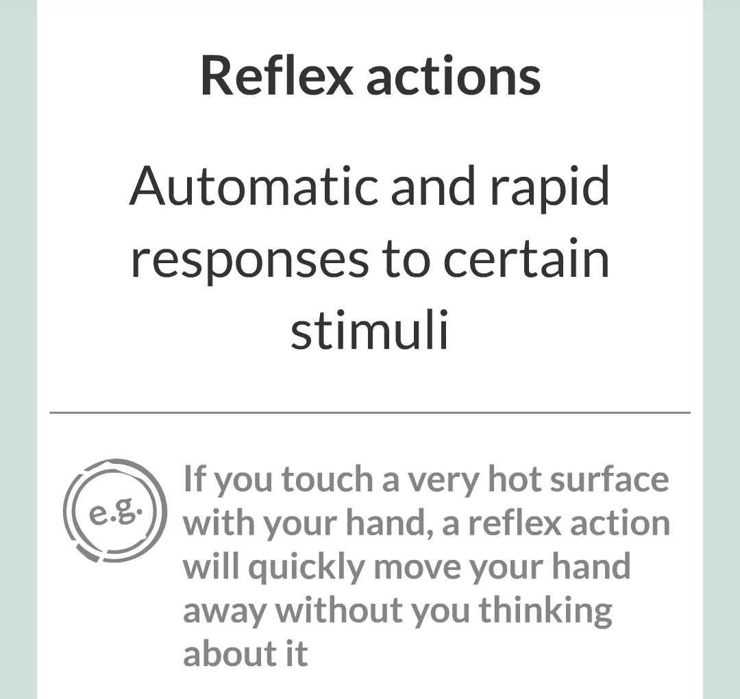 3 - Reflexes and Reaction Time/002.png