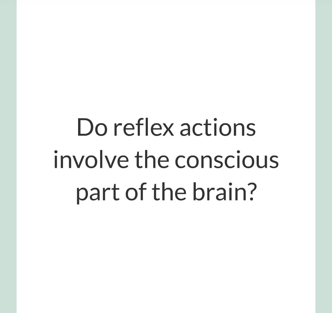 3 - Reflexes and Reaction Time/003.png