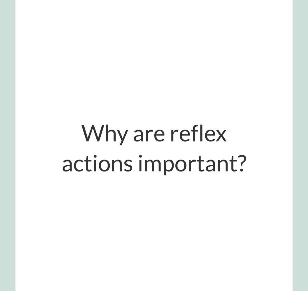 3 - Reflexes and Reaction Time/005.png