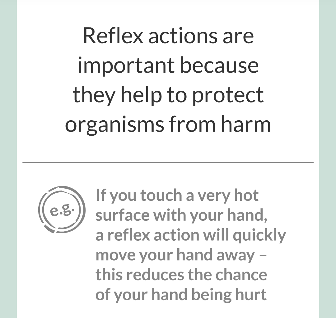 3 - Reflexes and Reaction Time/006.png