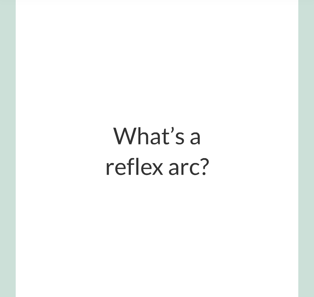 3 - Reflexes and Reaction Time/007.png