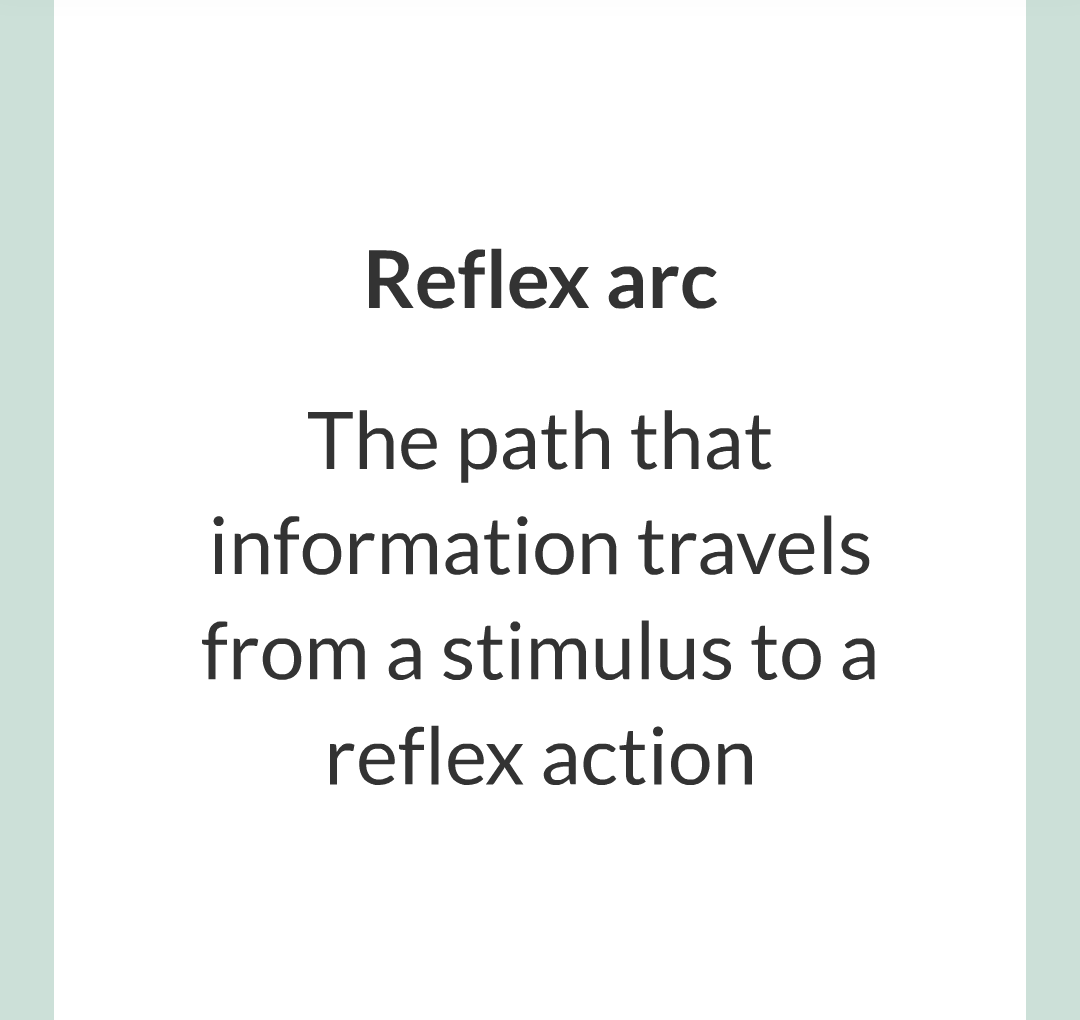 3 - Reflexes and Reaction Time/008.png