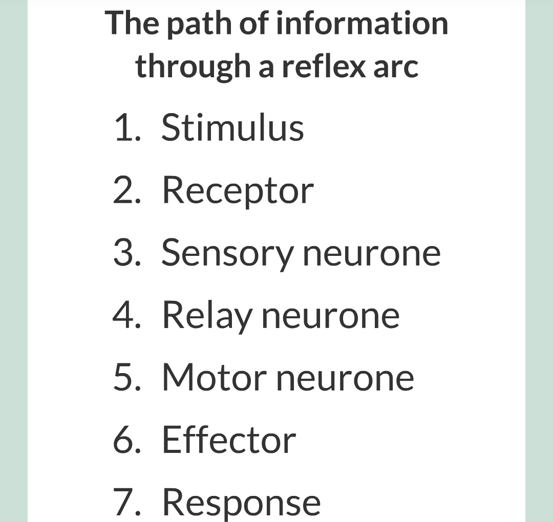 3 - Reflexes and Reaction Time/010.png