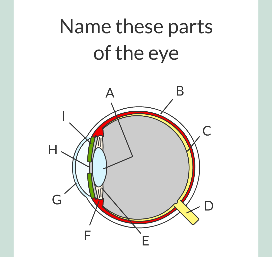 5 - The Eye/001.png
