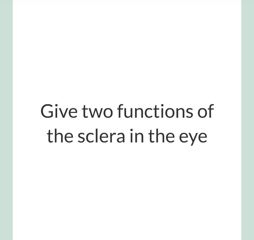 5 - The Eye/003.png