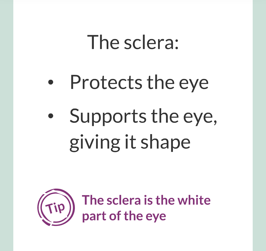 5 - The Eye/004.png