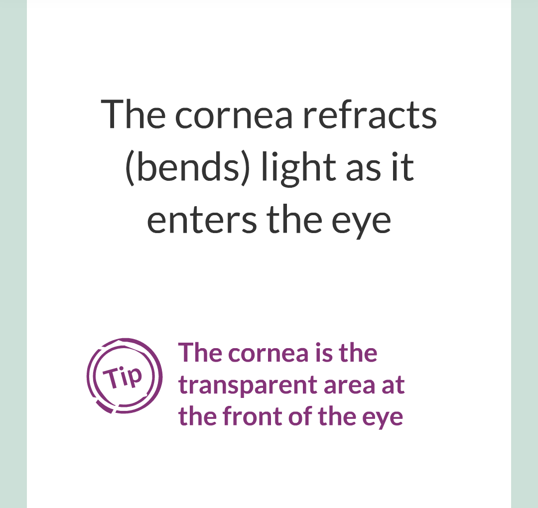5 - The Eye/006.png