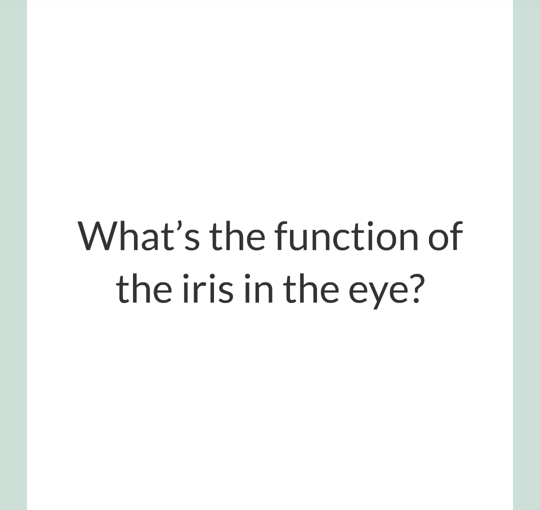 5 - The Eye/007.png