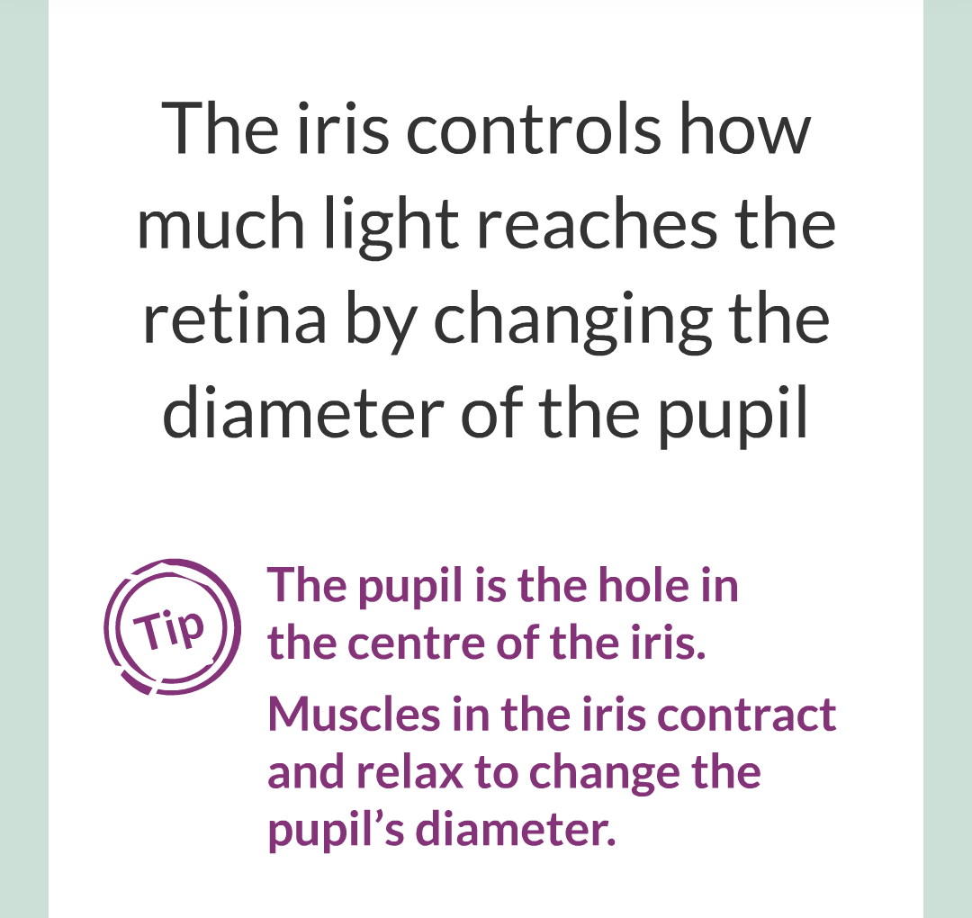 5 - The Eye/008.png
