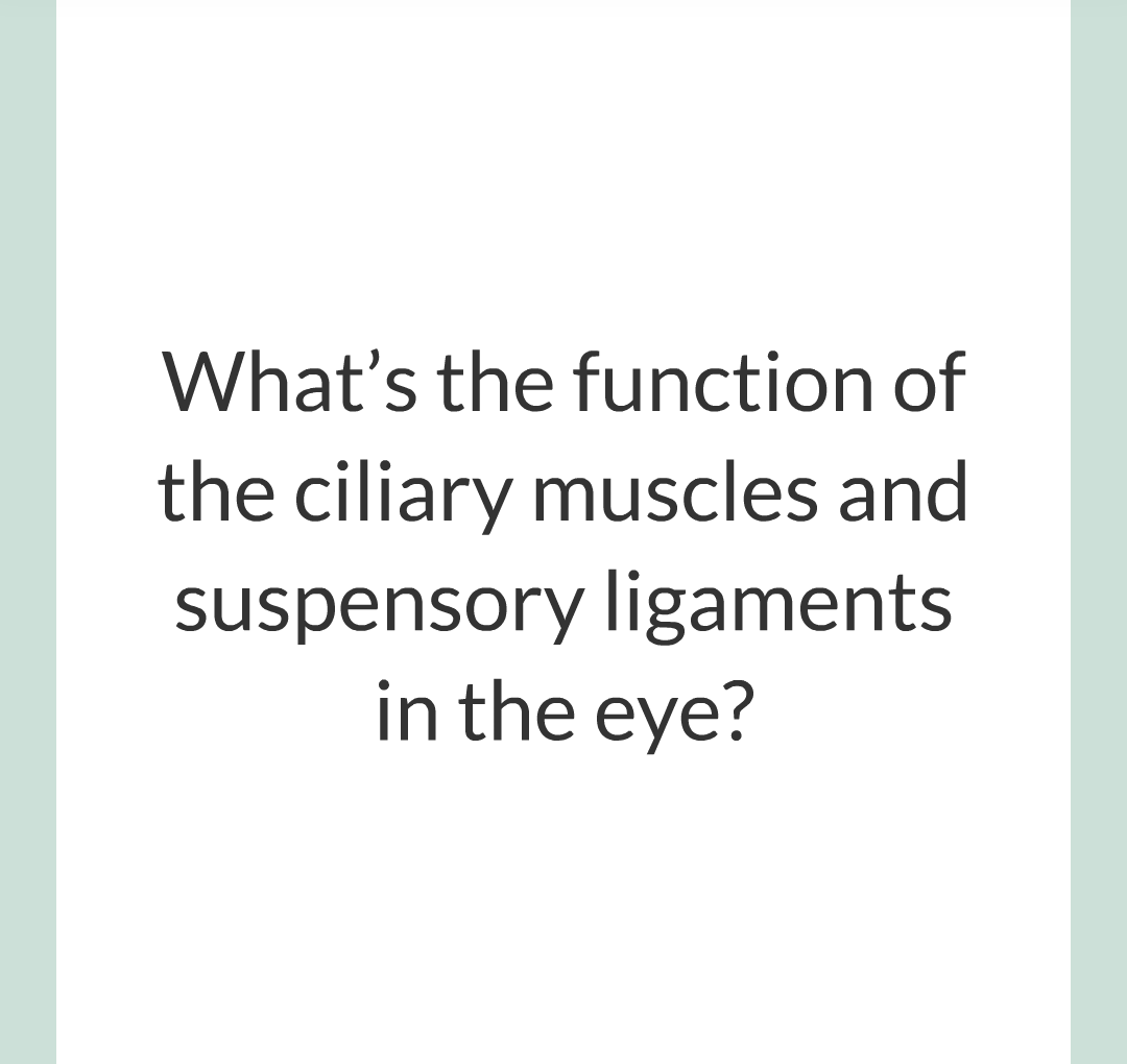 5 - The Eye/009.png