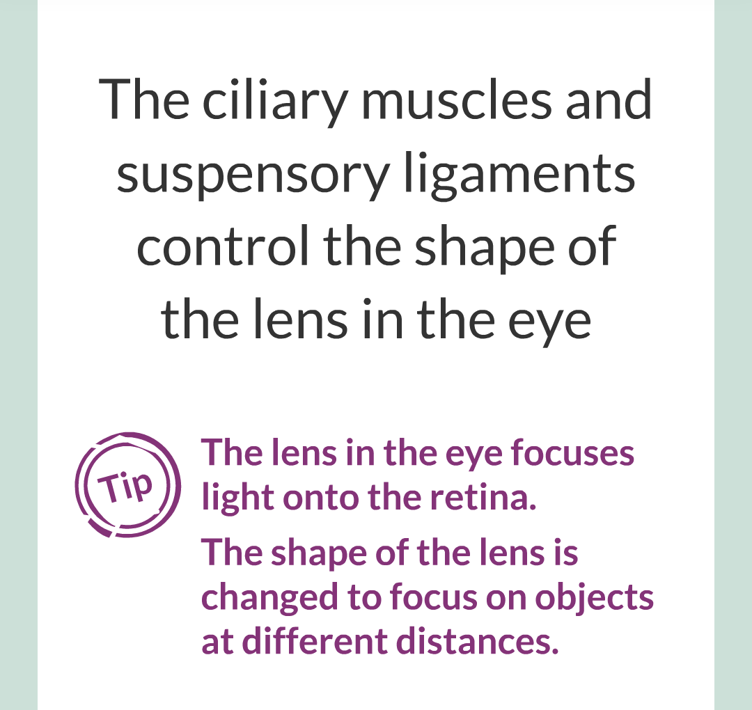 5 - The Eye/010.png