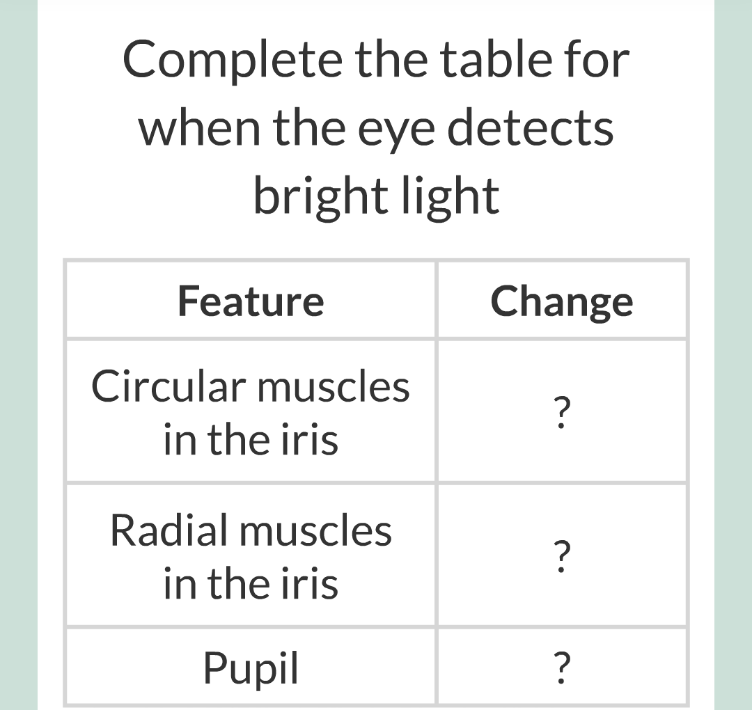5 - The Eye/015.png