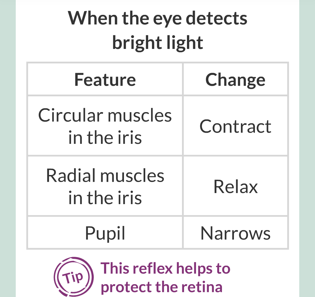 5 - The Eye/016.png