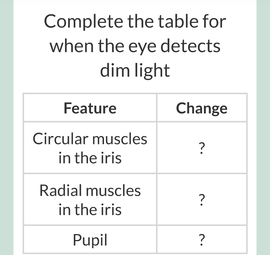 5 - The Eye/017.png