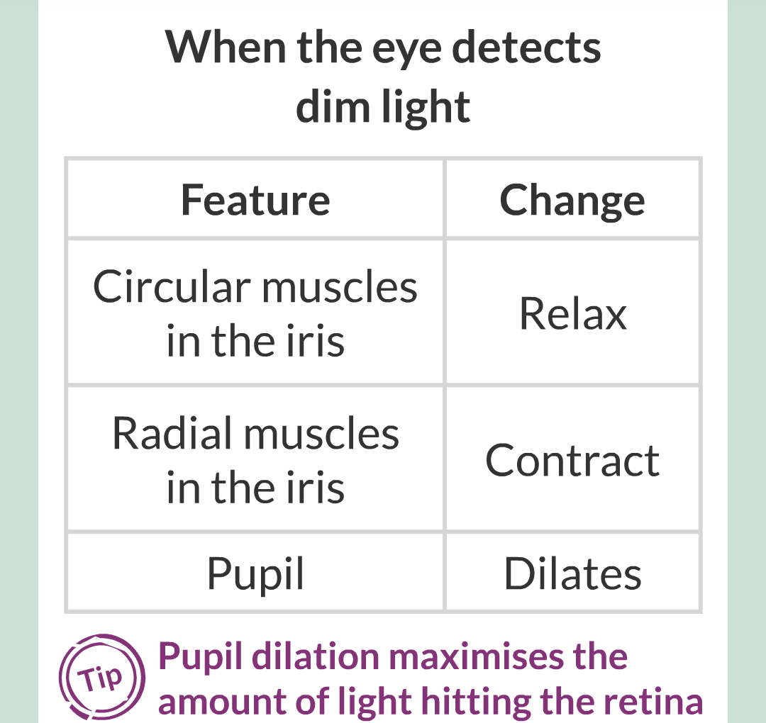 5 - The Eye/018.png