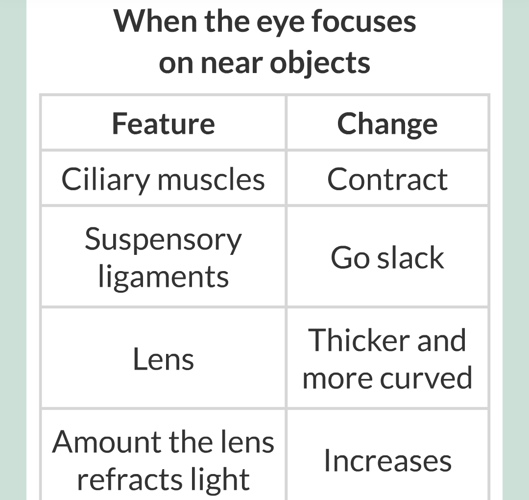 5 - The Eye/022.png