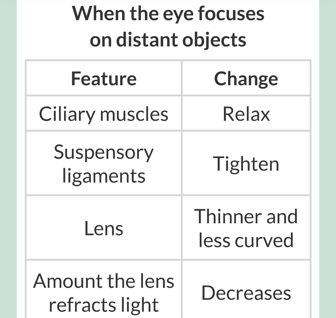 5 - The Eye/024.png