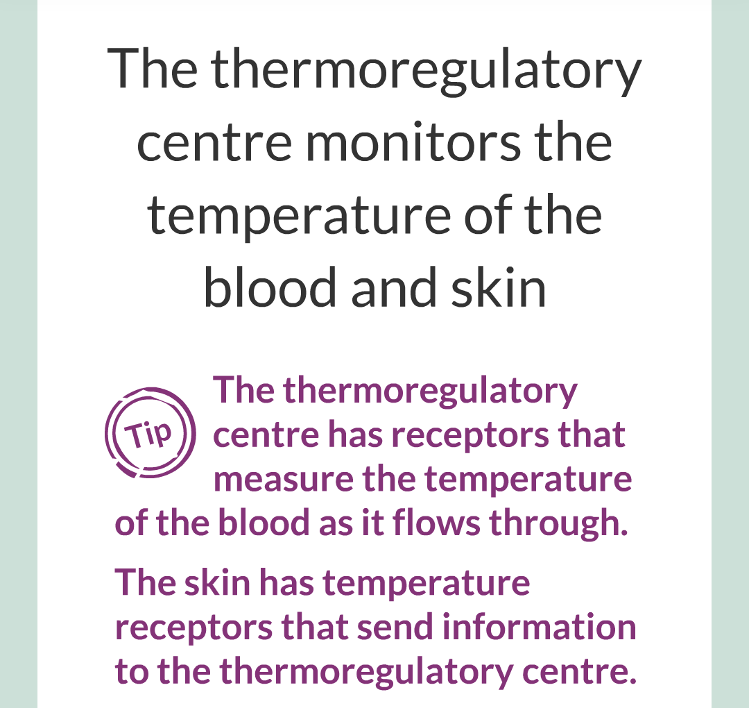7 - Controlling Body Temperature/004.png