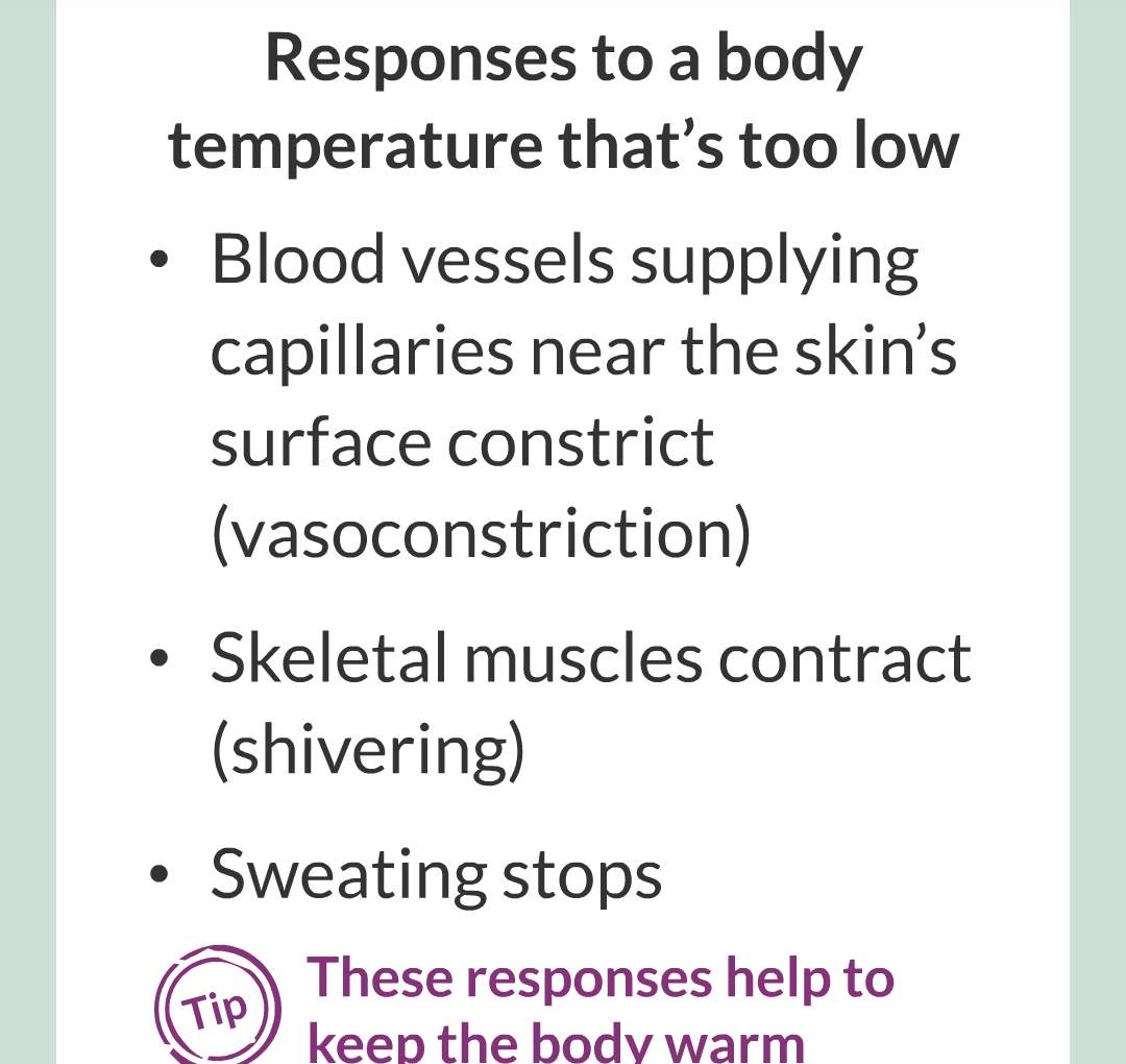 7 - Controlling Body Temperature/008.png