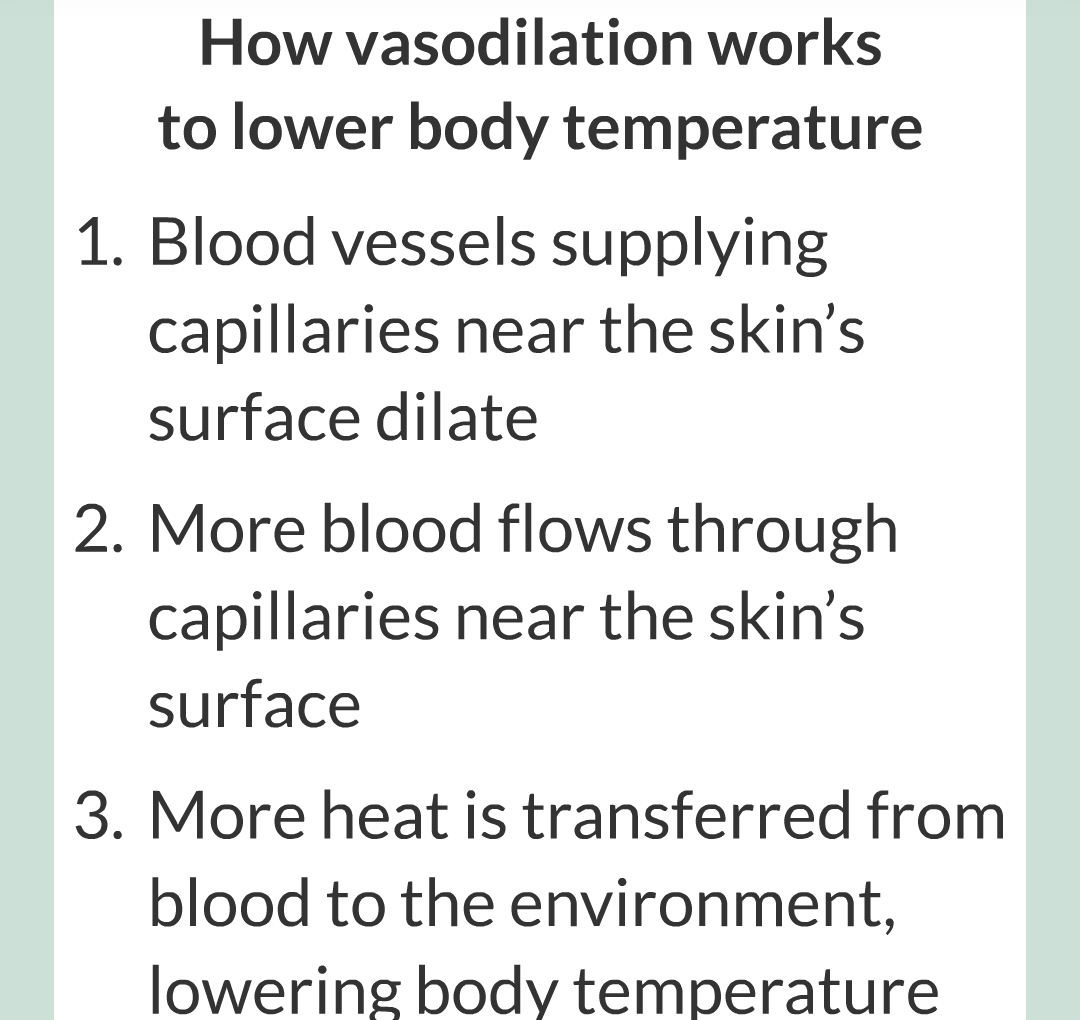 7 - Controlling Body Temperature/010.png