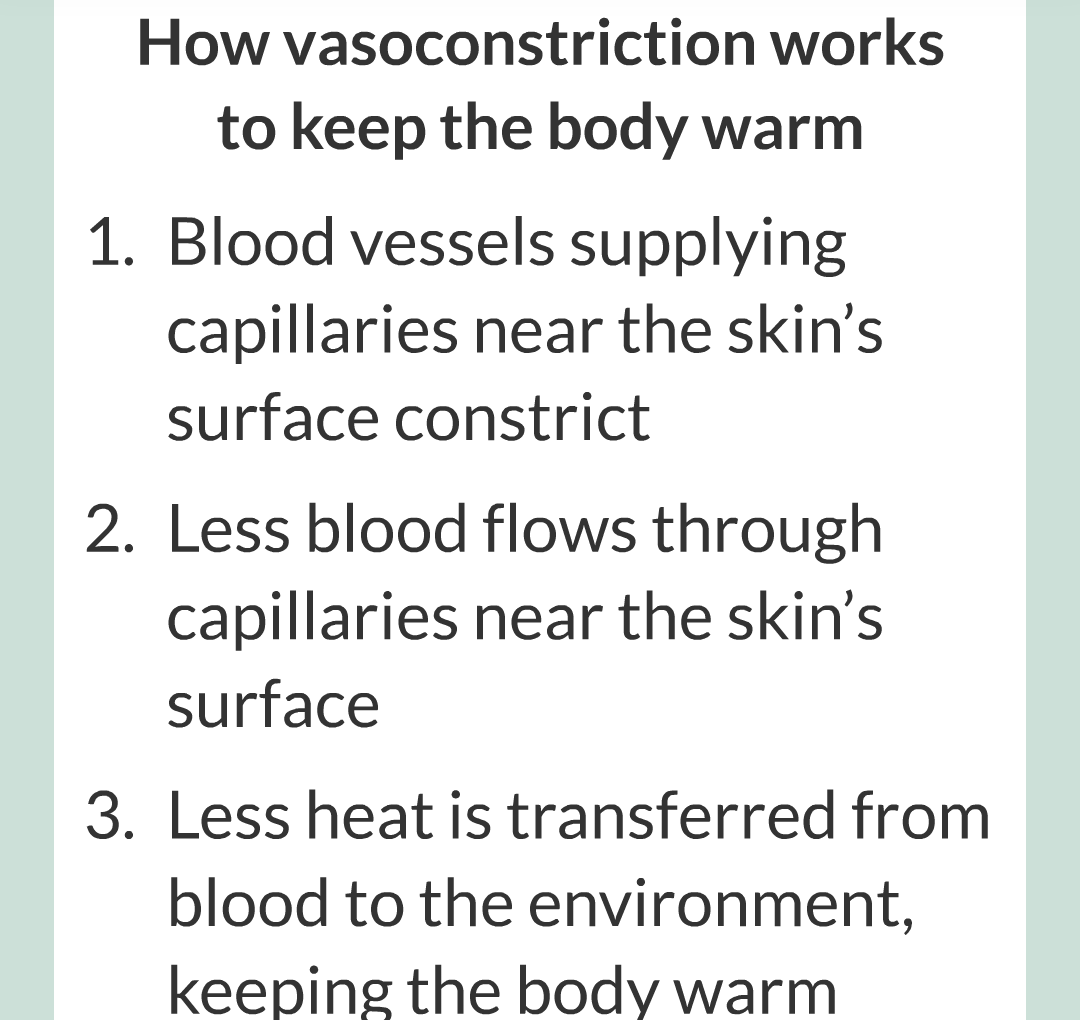 7 - Controlling Body Temperature/012.png