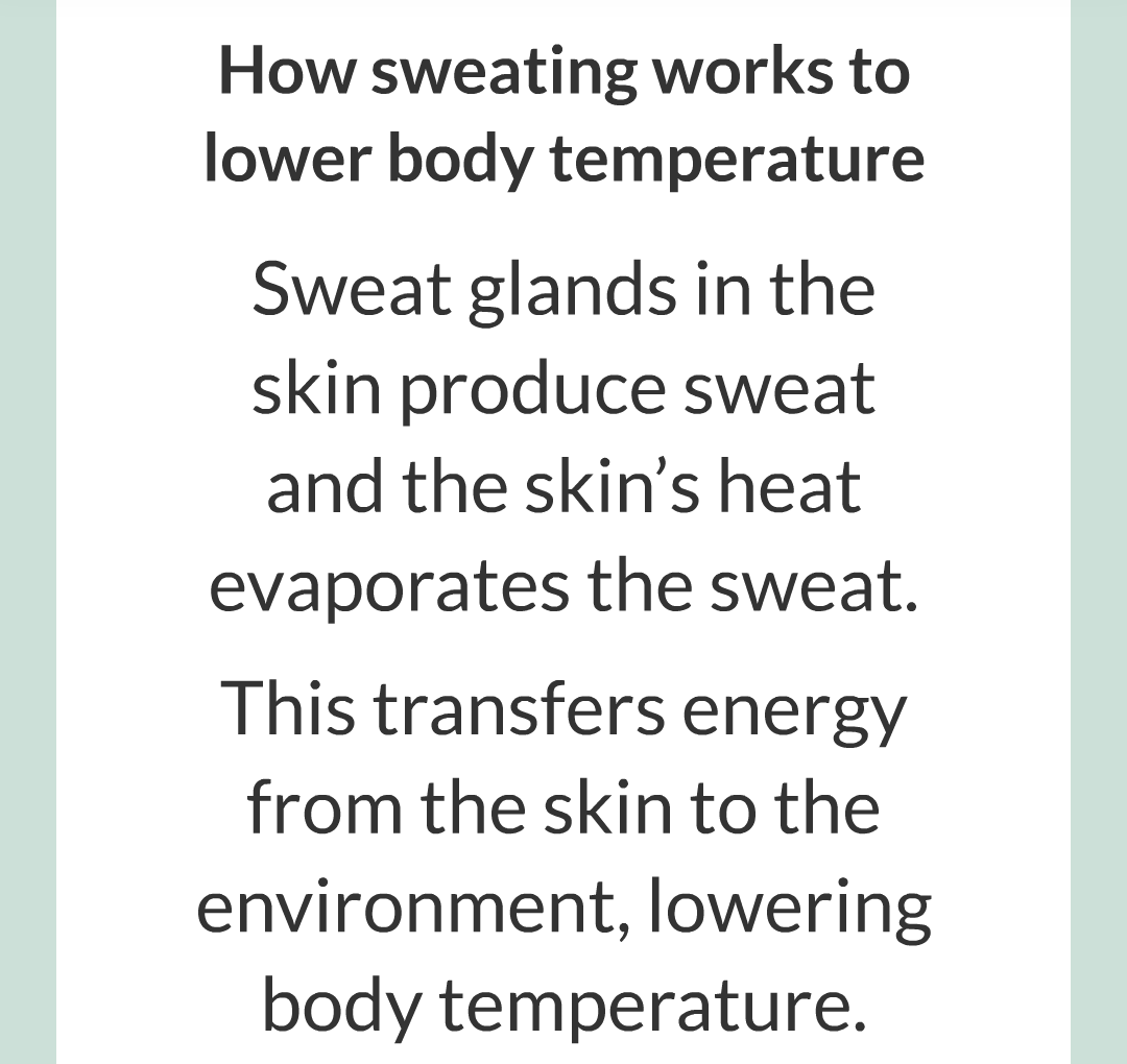 7 - Controlling Body Temperature/014.png
