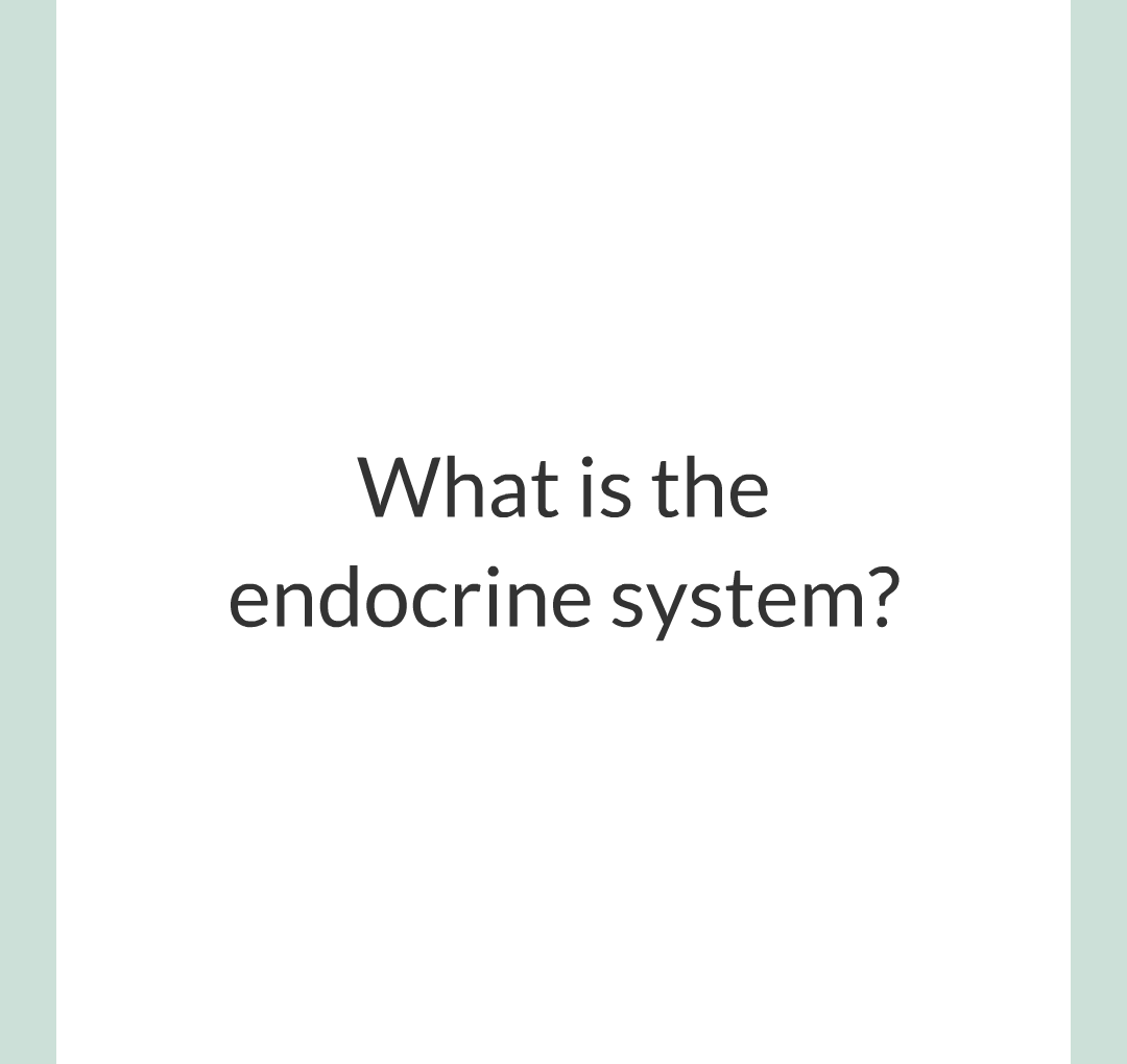 8 - The Endocrine System/001.png