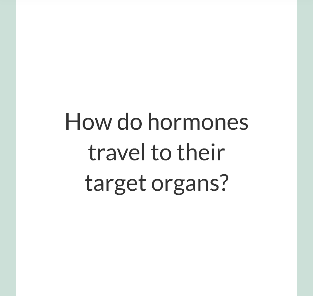 8 - The Endocrine System/005.png