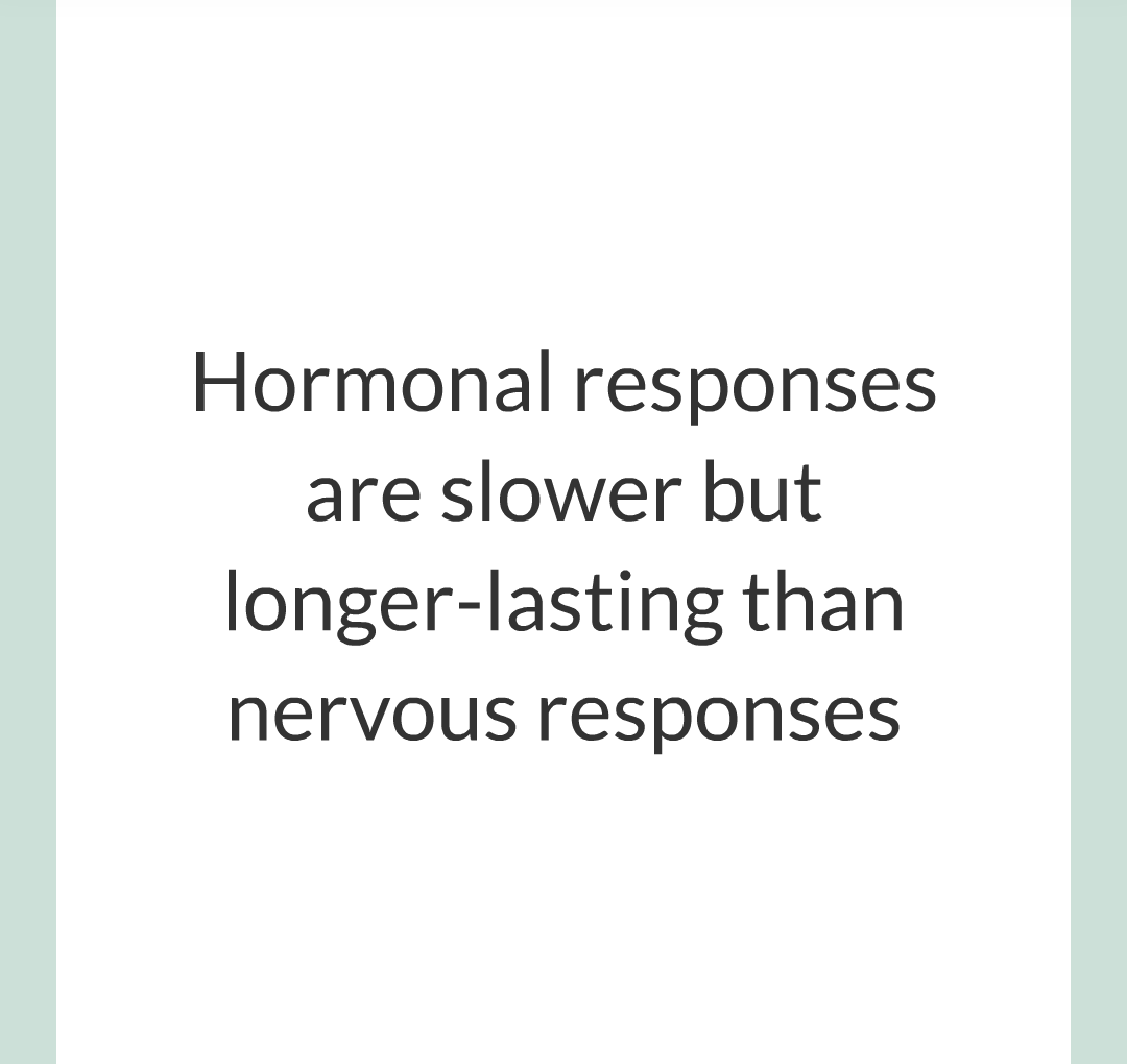 8 - The Endocrine System/008.png