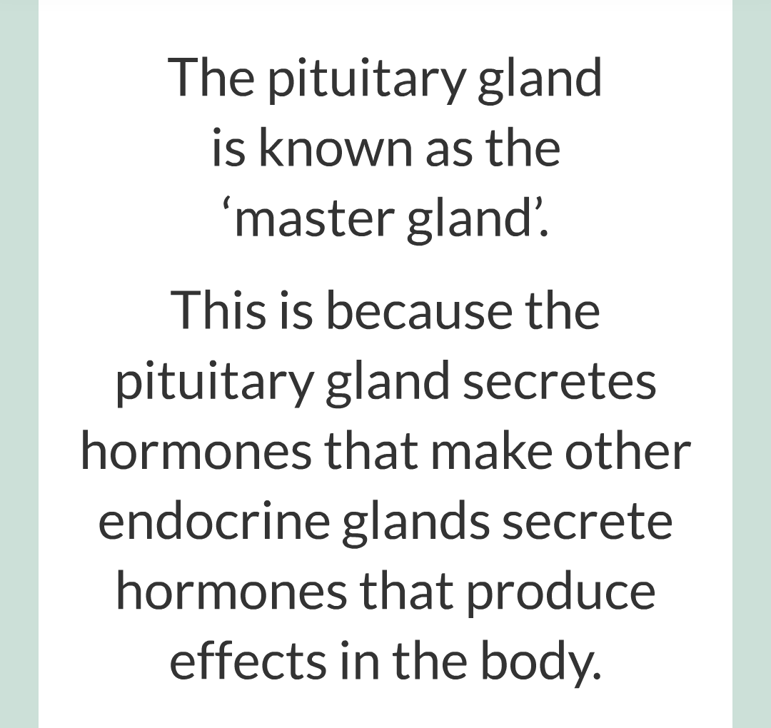 8 - The Endocrine System/012.png