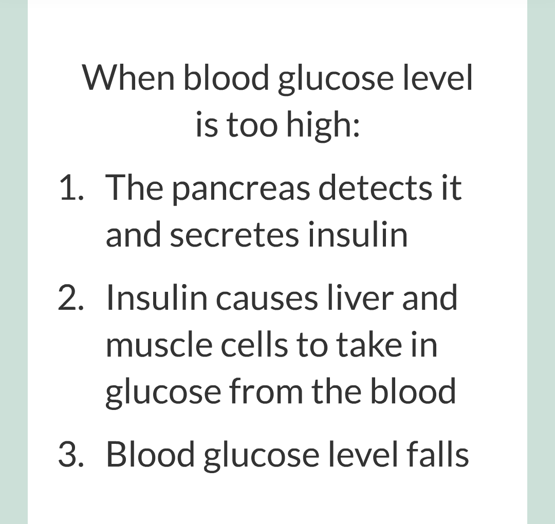 9 - Controlling Blood Glucose Level/004.png