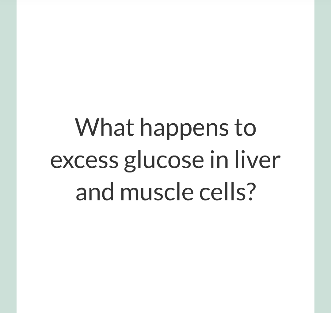 9 - Controlling Blood Glucose Level/005.png