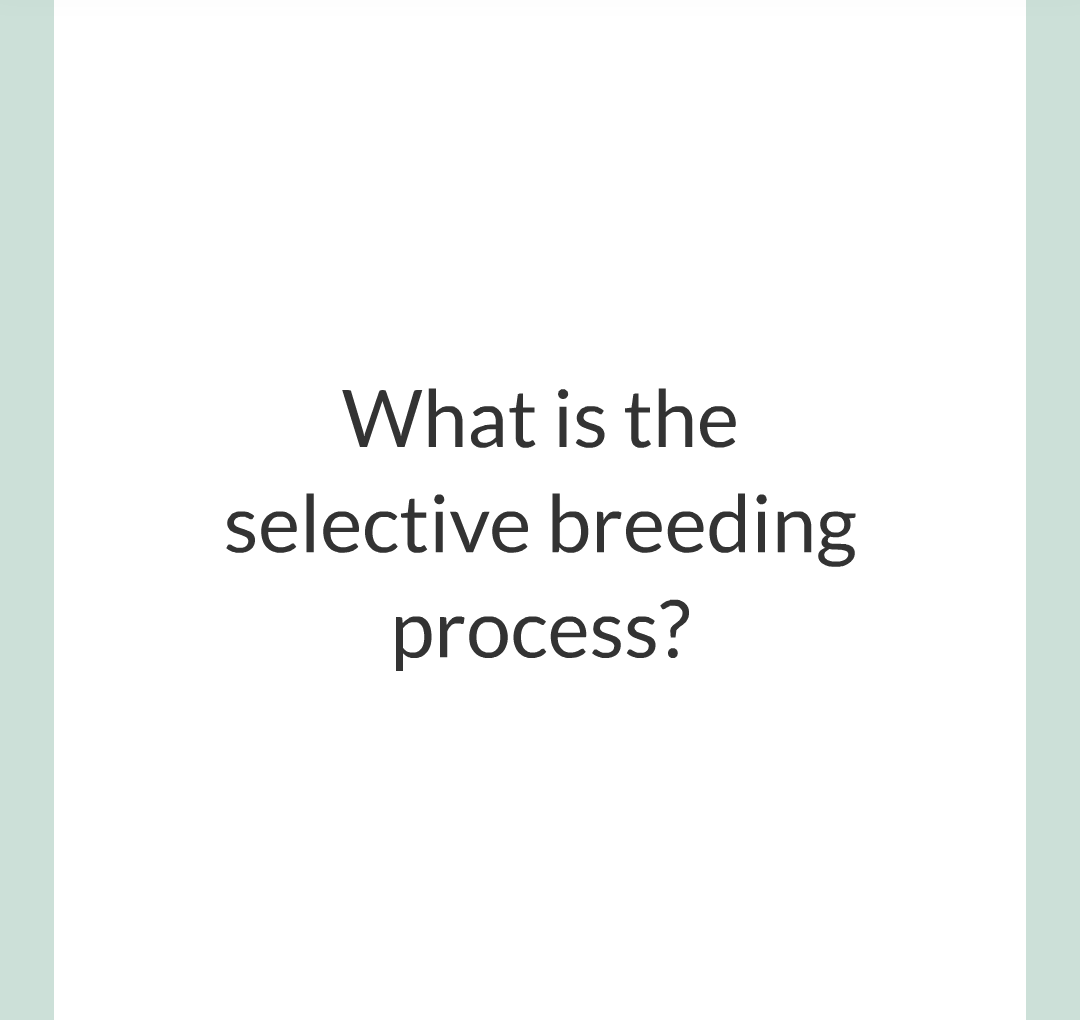 10 - Selective Breeding/003.png
